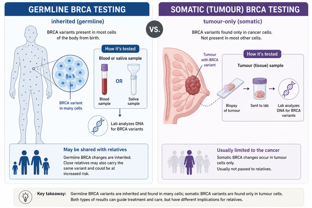 Diagram showing germline BRCA testing with blood or saliva compared with somatic BRCA testing on tumour tissue.