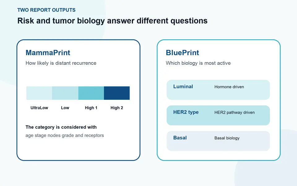 MammaPrint and BluePrint Breast Cancer Testing — illustration 2
