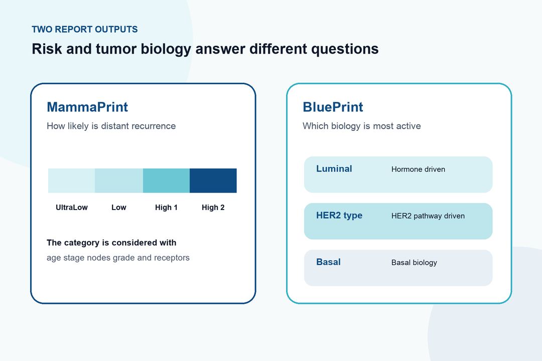 MammaPrint and BluePrint Breast Cancer Testing — illustration 2