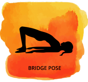 bridge-pose
